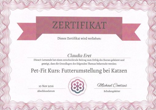 Zertifikat Futterumstellung bei Katzen Claudia Eret